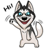 Cute Husky Stickers WAStickers1.0.0_Popularmodapk.com