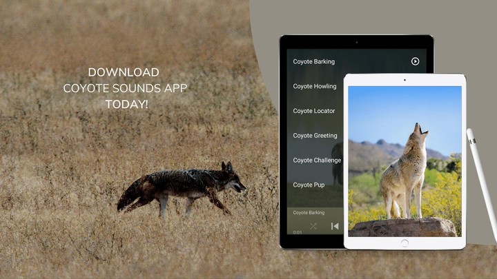 Coyote Sounds & Calls screenshot image 8_Popularmodapk.com