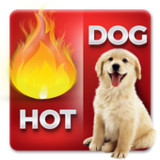 Fun Words Picture Quiz Game2.0_Popularmodapk.com