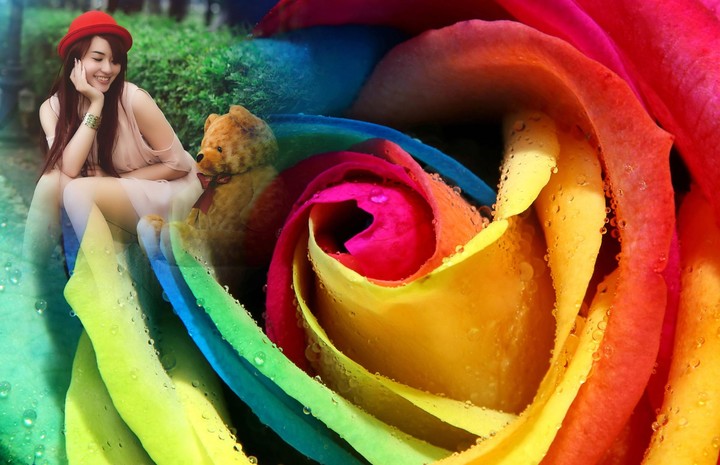 Macro Rose Photo Frame screenshot image 3_Popularmodapk.com