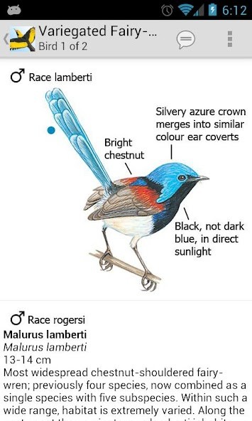 Aubameyang wallpaper-Gabon screenshot image 8_Popularmodapk.com