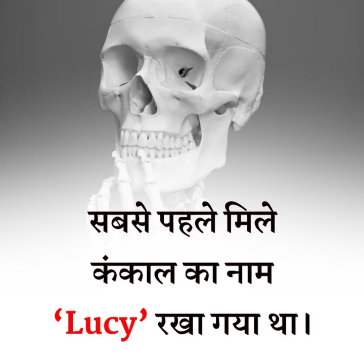 Interesting Facts Hindi screenshot image 4_Popularmodapk.com