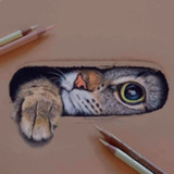 How to draw 3d drawings tutori1.2_Popularmodapk.com