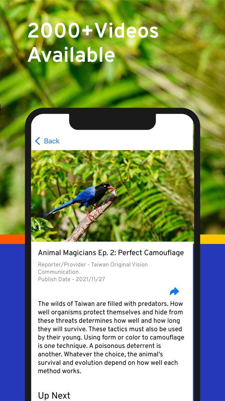 DSDLink screenshot image 4_Popularmodapk.com