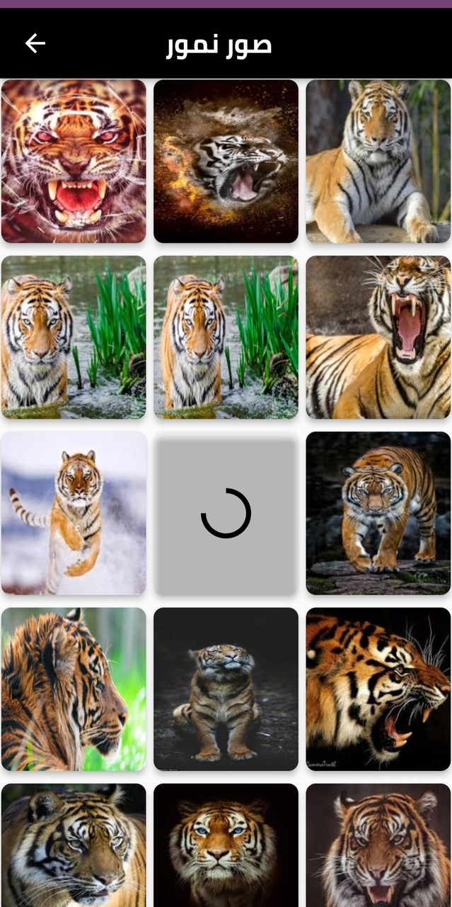 صور 4k screenshot image 6_Popularmodapk.com