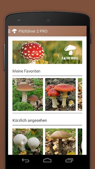 Chipmunk Sounds screenshot image 2_Popularmodapk.com
