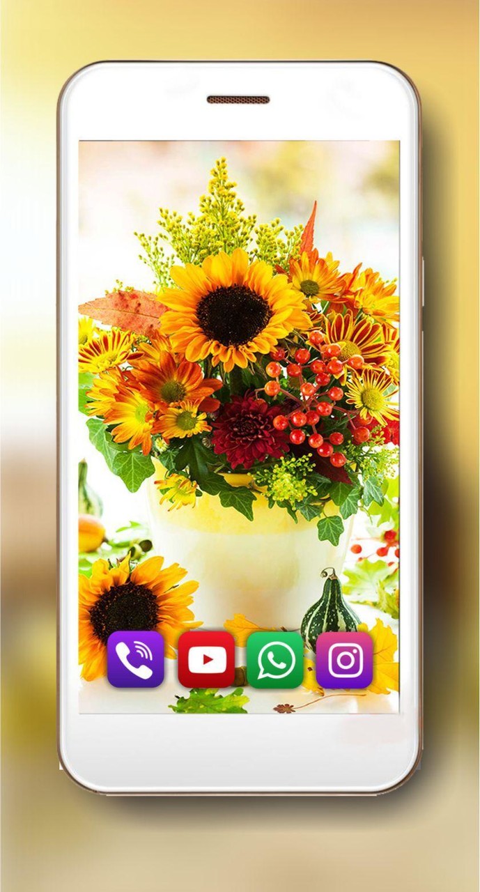 Summer Mood Live Wallpaper screenshot image 7_Popularmodapk.com