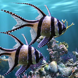 The real aquarium - LWP2.35_Popularmodapk.com