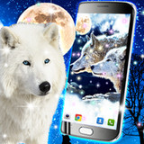 Wolf live wallpaper22.6_Popularmodapk.com