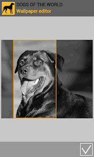 Mega Match Mall screenshot image 3_Popularmodapk.com