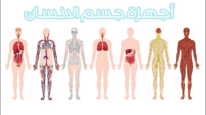 جسم الانسان screenshot image 7_Popularmodapk.com