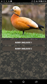 Glooko XT screenshot image 5_Popularmodapk.com