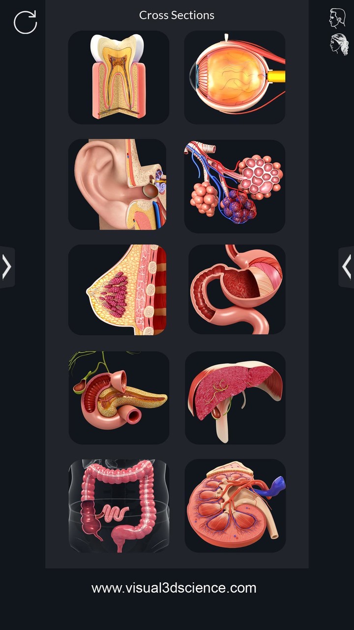 Organs Anatomy Pro. screenshot image 2_Popularmodapk.com