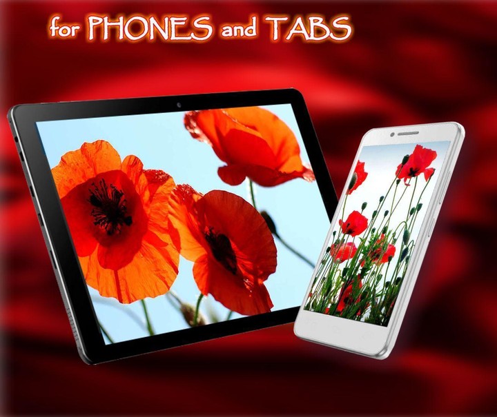 Summer Poppy lwp screenshot image 8_Popularmodapk.com