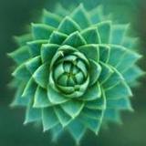 7000 words6.1_Popularmodapk.com