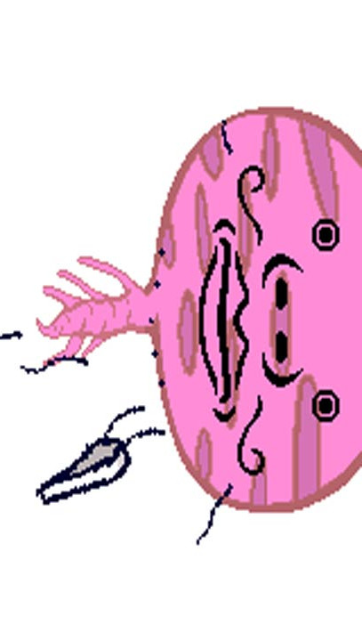 Rhythm Tengoku screenshot image 8_Popularmodapk.com