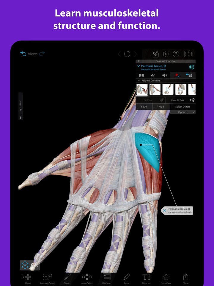 Human Anatomy Atlas 2022＋ screenshot image 10_Popularmodapk.com