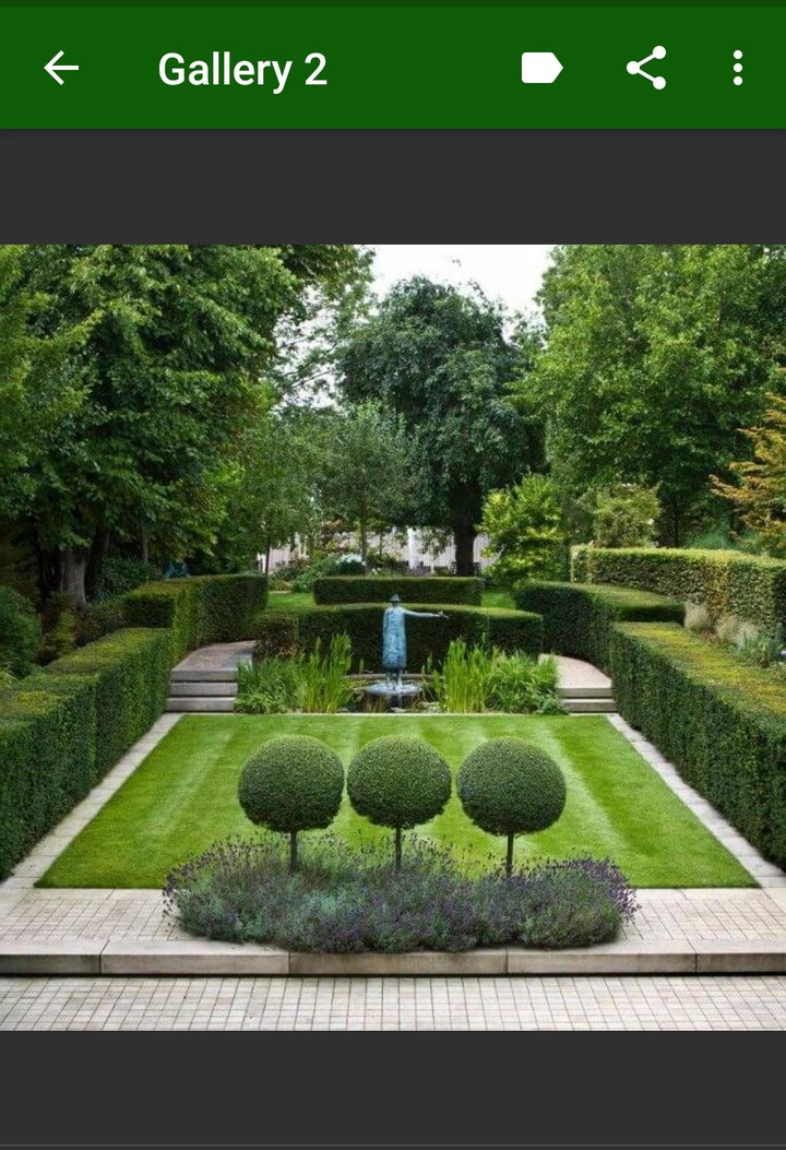 Diseño de Jardín screenshot image 4_Popularmodapk.com