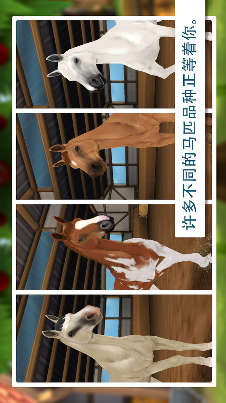 照顾马儿们破解版（天使汉化）<span>(mod)</span> screenshot image 4_Popularmodapk.com