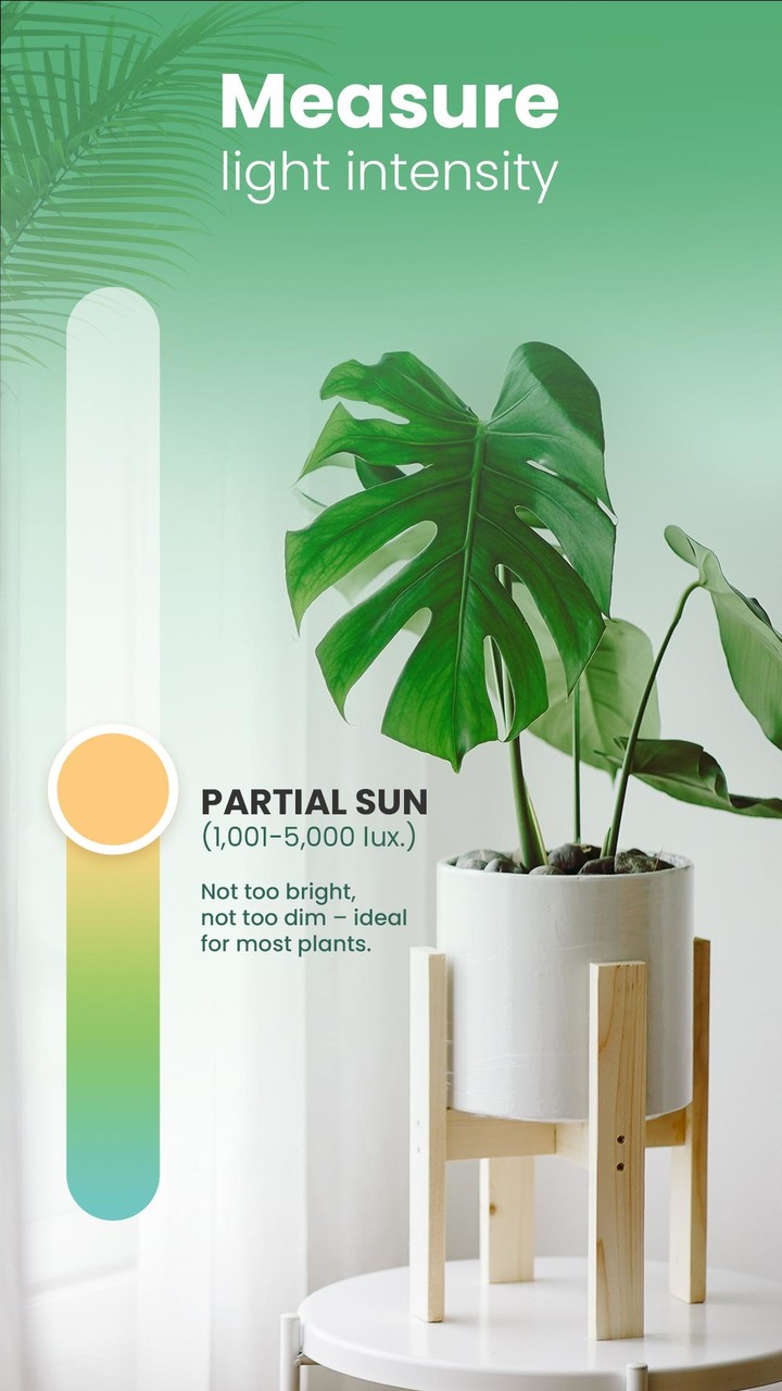 Blossom - Plant Identification screenshot image 8_Popularmodapk.com