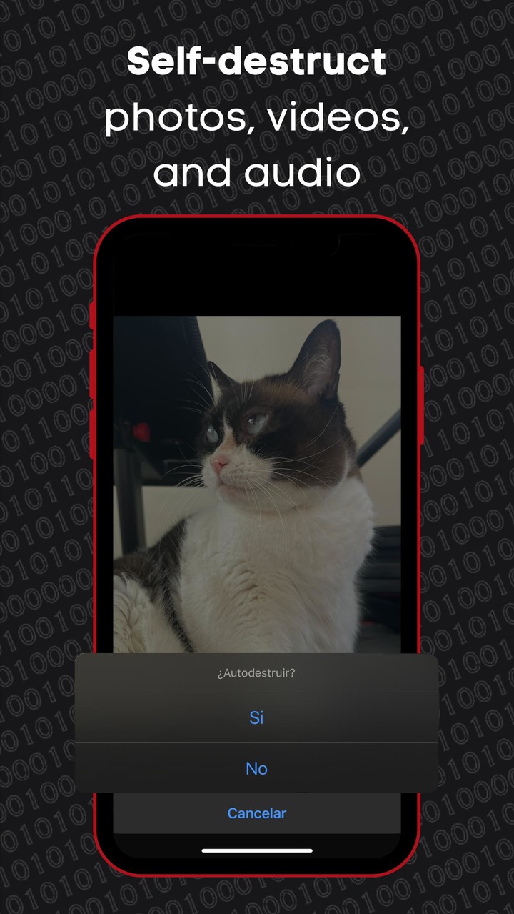 Criptoo screenshot image 10_Popularmodapk.com