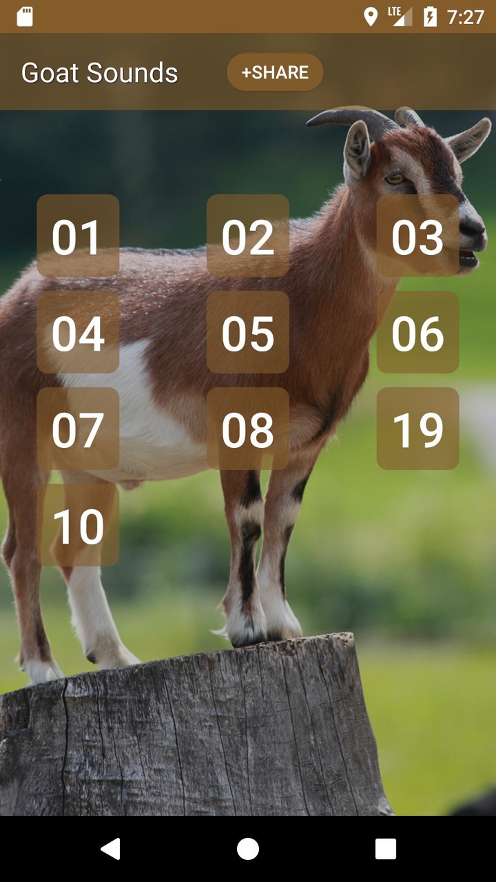Goat Sounds screenshot image 1_Popularmodapk.com