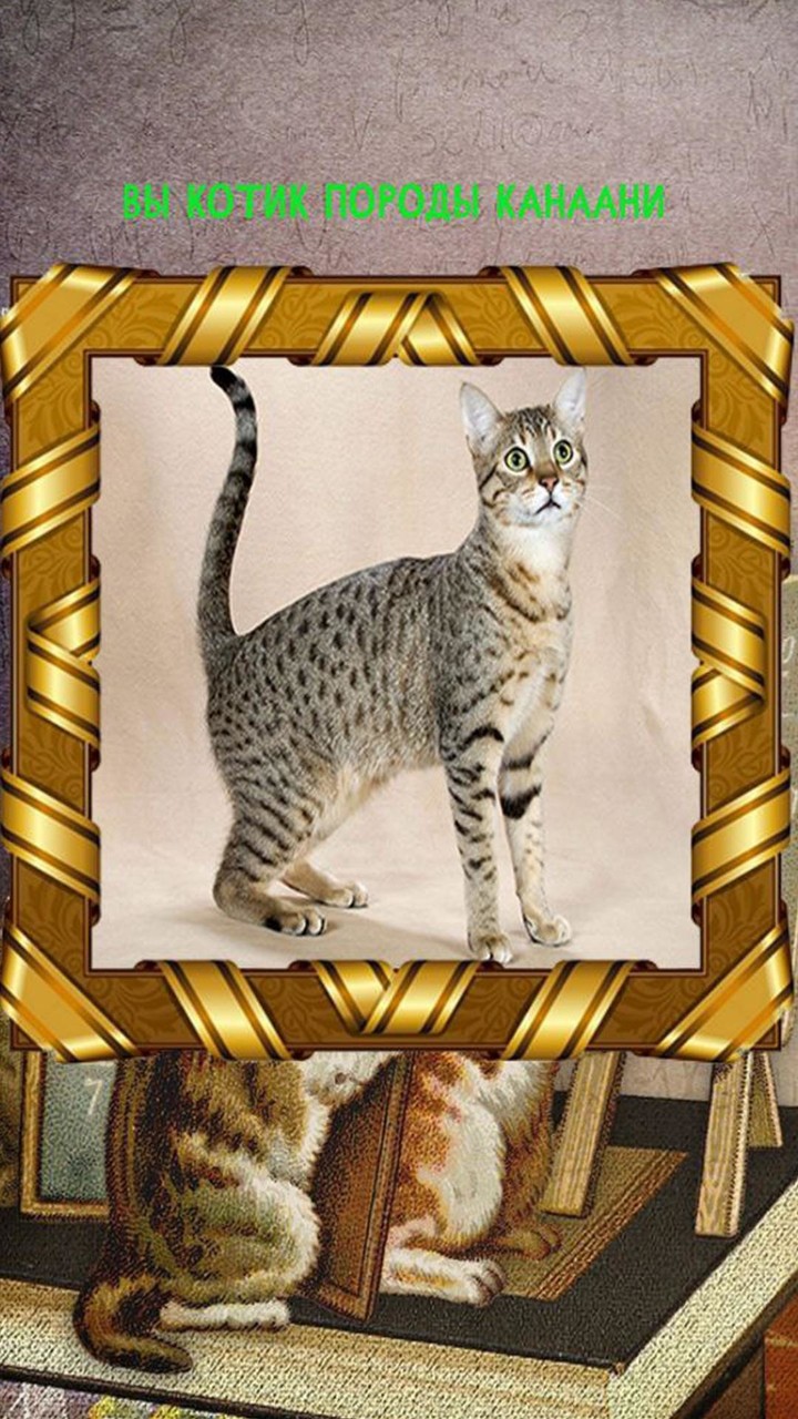 Какой ты котик screenshot image 3_Popularmodapk.com