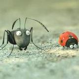 King Ant and friends1.7.0_Popularmodapk.com