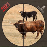 Animal Shooting : Wild Hunting<span>(Unlimited Money)</span>2.8_Popularmodapk.com