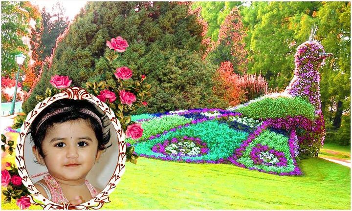 Beautiful Garden Photo Gallery screenshot image 5_Popularmodapk.com