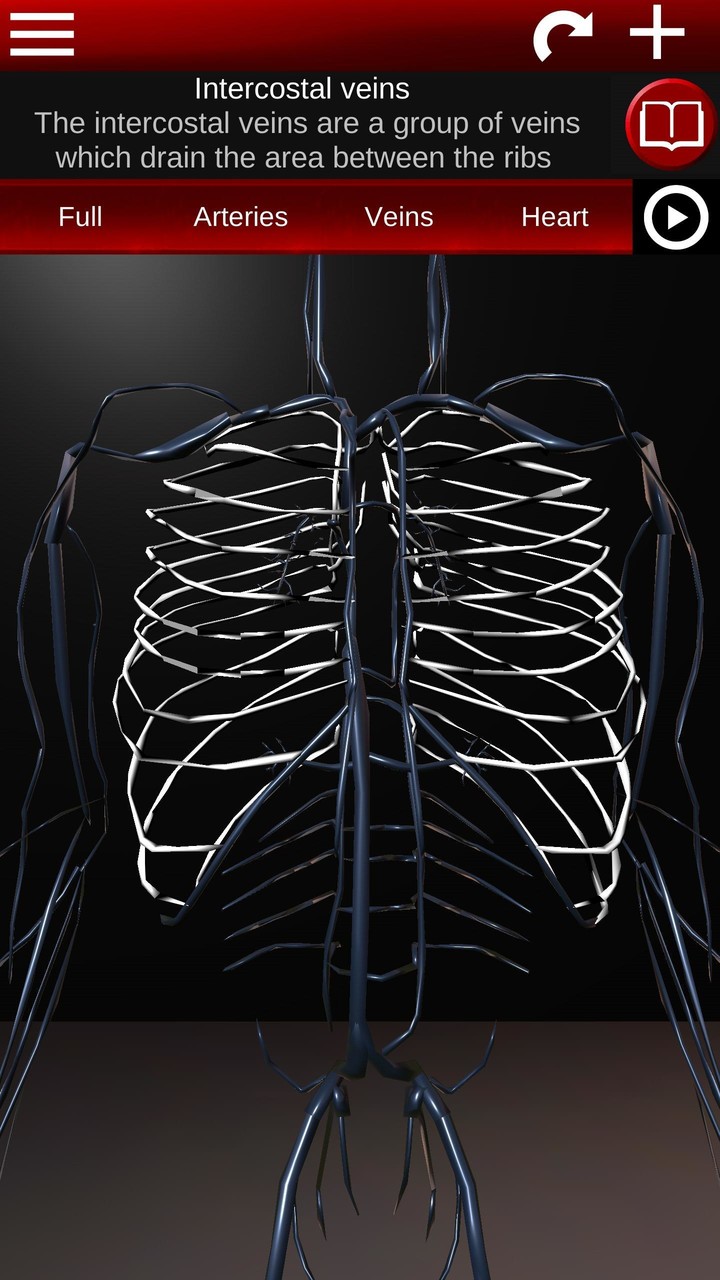 Circulatory System 3D Anatomy screenshot image 6_Popularmodapk.com