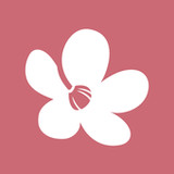 Chula - Belleza sin límites4.0_Popularmodapk.com