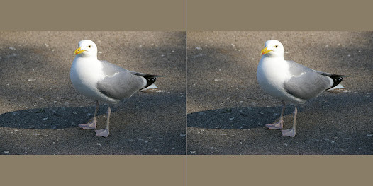 The Spinoff screenshot image 1_Popularmodapk.com