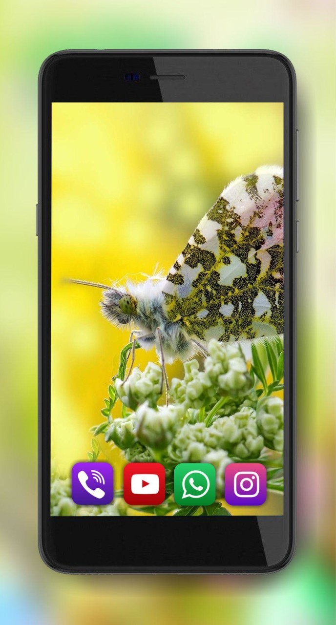 Summer Mood Live Wallpaper screenshot image 6_Popularmodapk.com