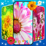 Spring Flowers Live Wallpaper6.9.2_Popularmodapk.com