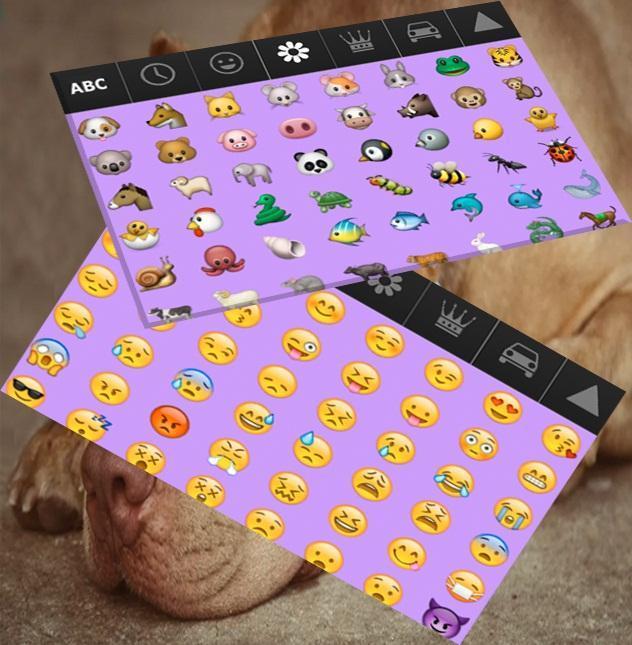 Biggest Pitbull Keyboard screenshot image 13_Popularmodapk.com