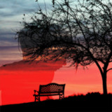 Sad Poetry, Urdu Shayari1.5_Popularmodapk.com