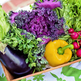 야채퀴즈1.1.27_Popularmodapk.com