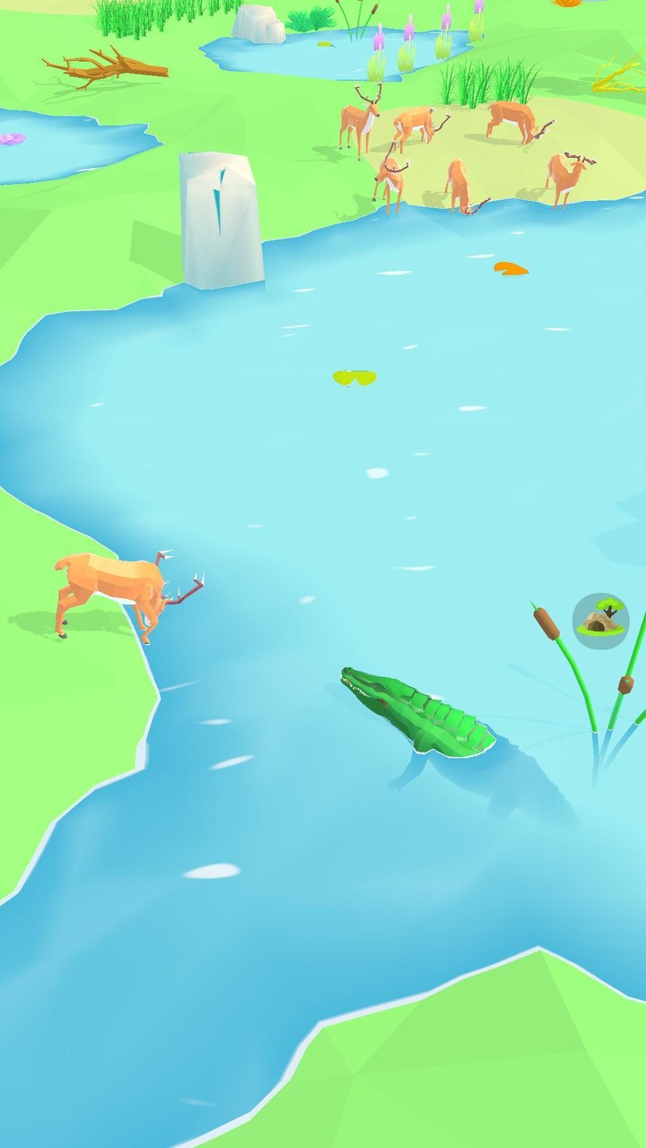 Animal Wildlife screenshot image 5_Popularmodapk.com