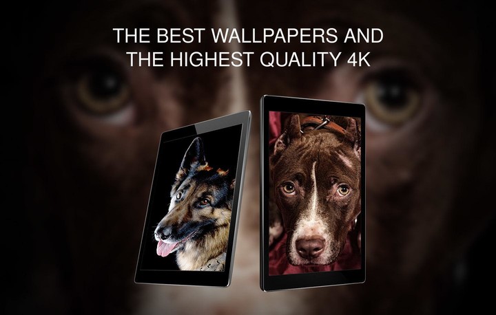 Wallpapers 4K with dogs screenshot image 6_Popularmodapk.com
