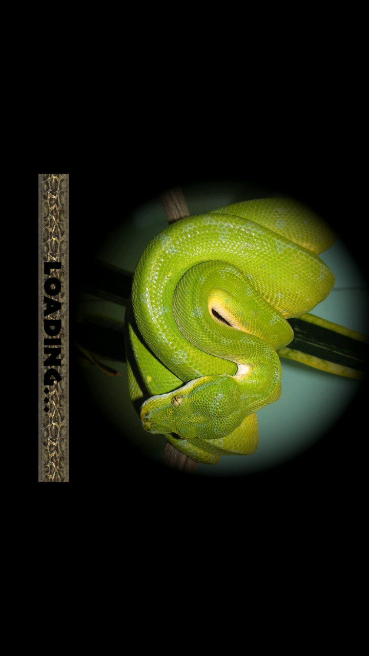 Snake Simulator(all contents for free) screenshot image 7_Popularmodapk.com