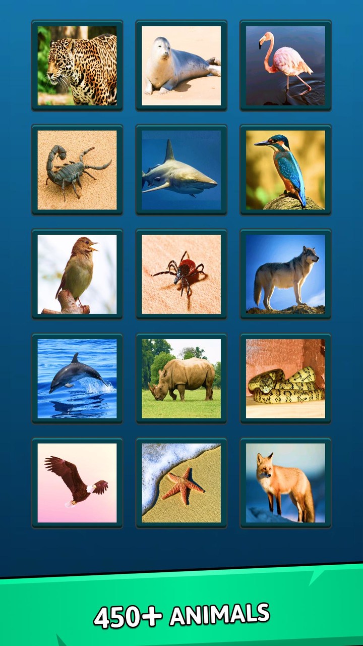 Animal Quiz - Guess the Animal screenshot image 2_Popularmodapk.com