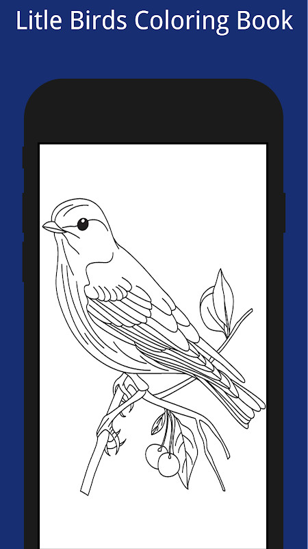 Litle Birds Coloring Book screenshot image 25_Popularmodapk.com