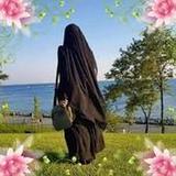 رواية وتبسمت ذات النقاب1.1_Popularmodapk.com