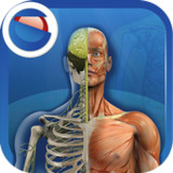 The Human Body1.0_Popularmodapk.com