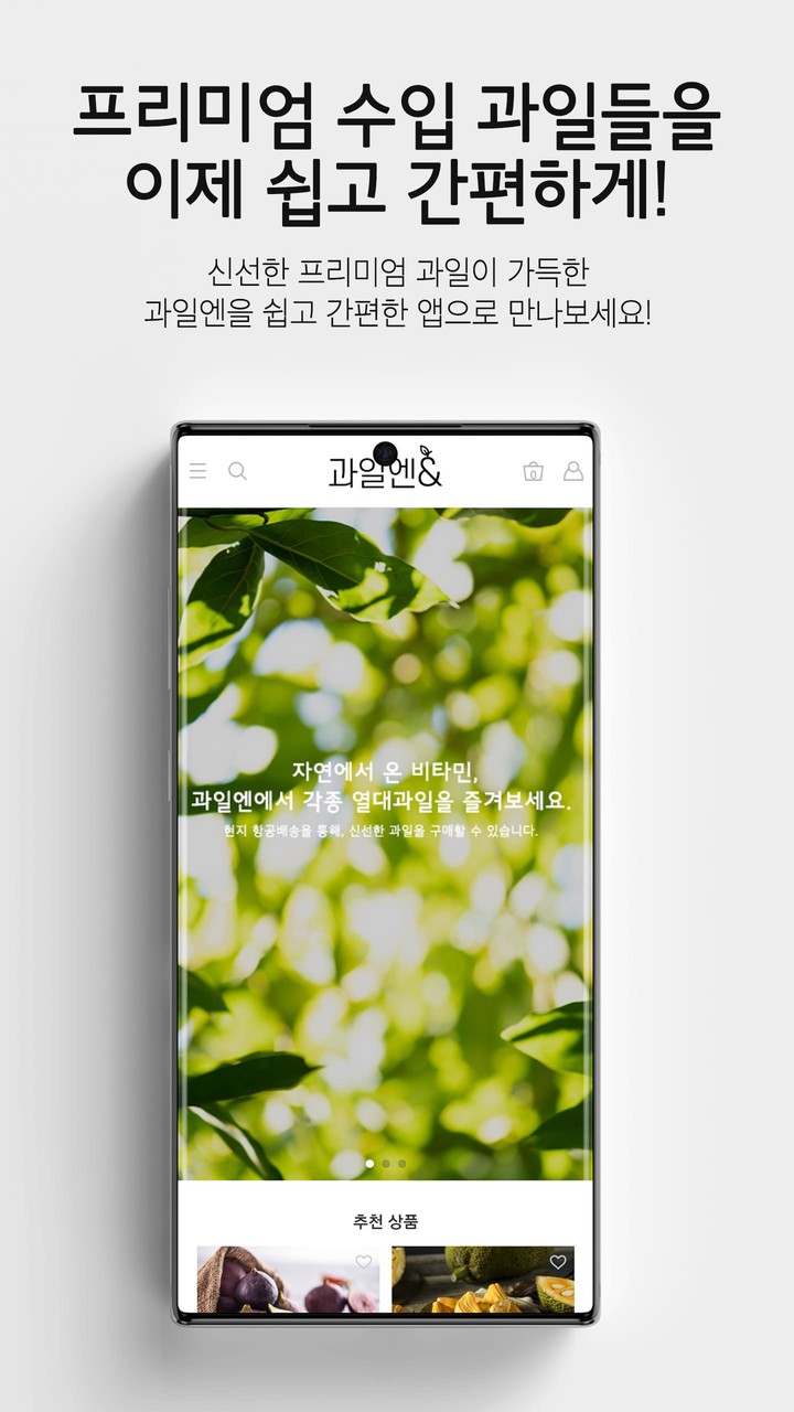 과일엔 - 일상과 과일 사이 screenshot image 3_Popularmodapk.com