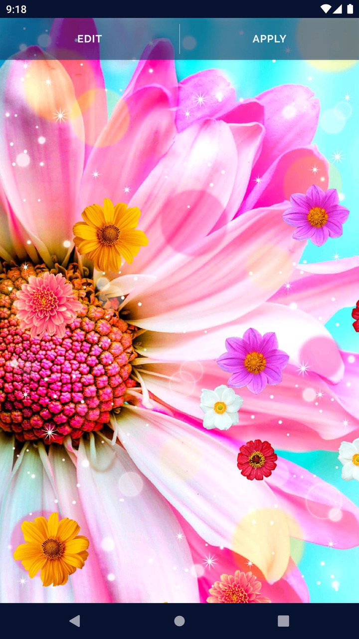 Spring Flowers Live Wallpaper screenshot image 18_Popularmodapk.com