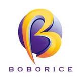 Boborice1.2.41_Popularmodapk.com