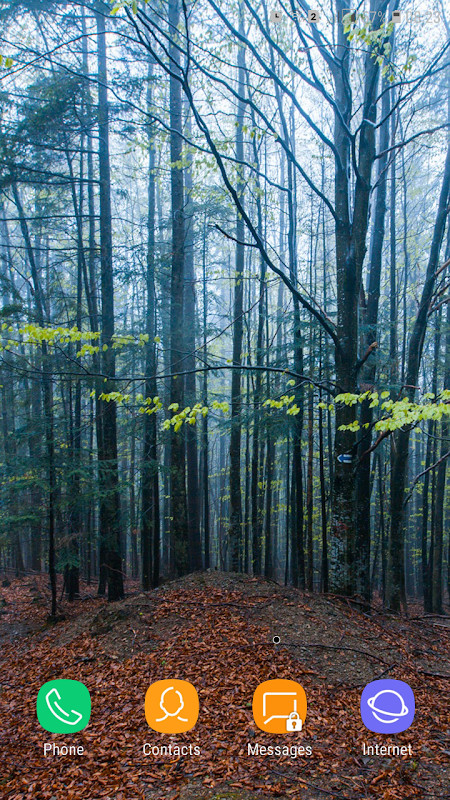 Forest Wallpaper screenshot image 22_Popularmodapk.com