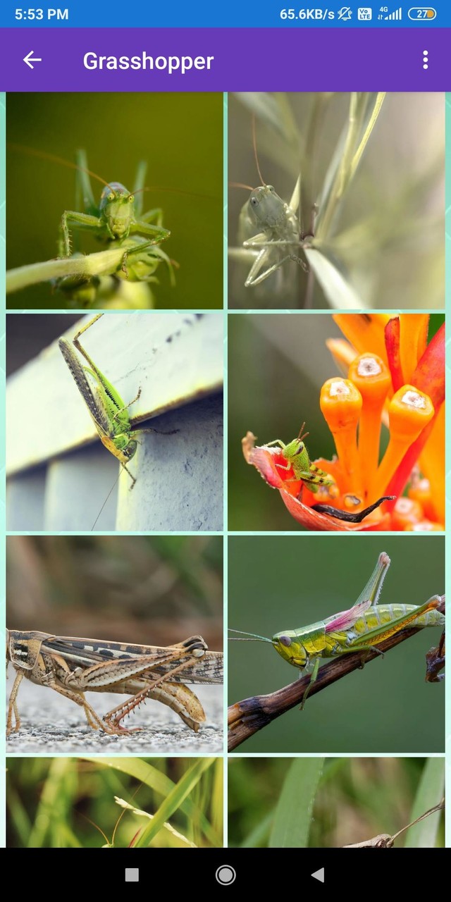 Disassembly 3D: Demolition(All contents for free) screenshot image 9_Popularmodapk.com